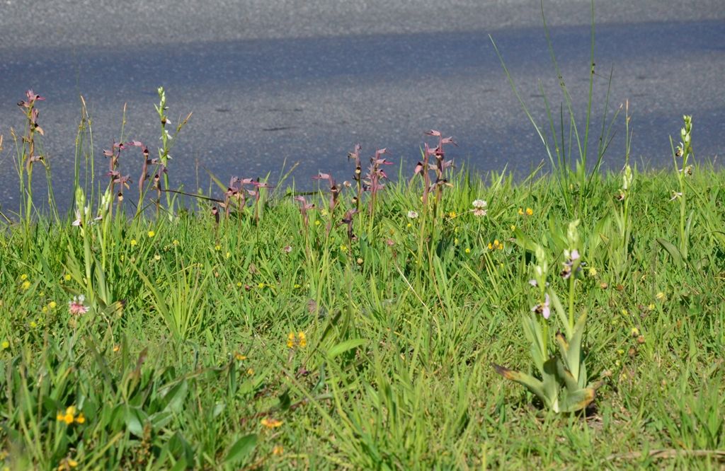 ... near the road...